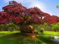 Asta_Pink Tree