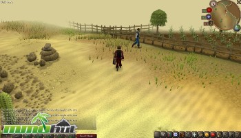 RuneScape Desert Screenshot