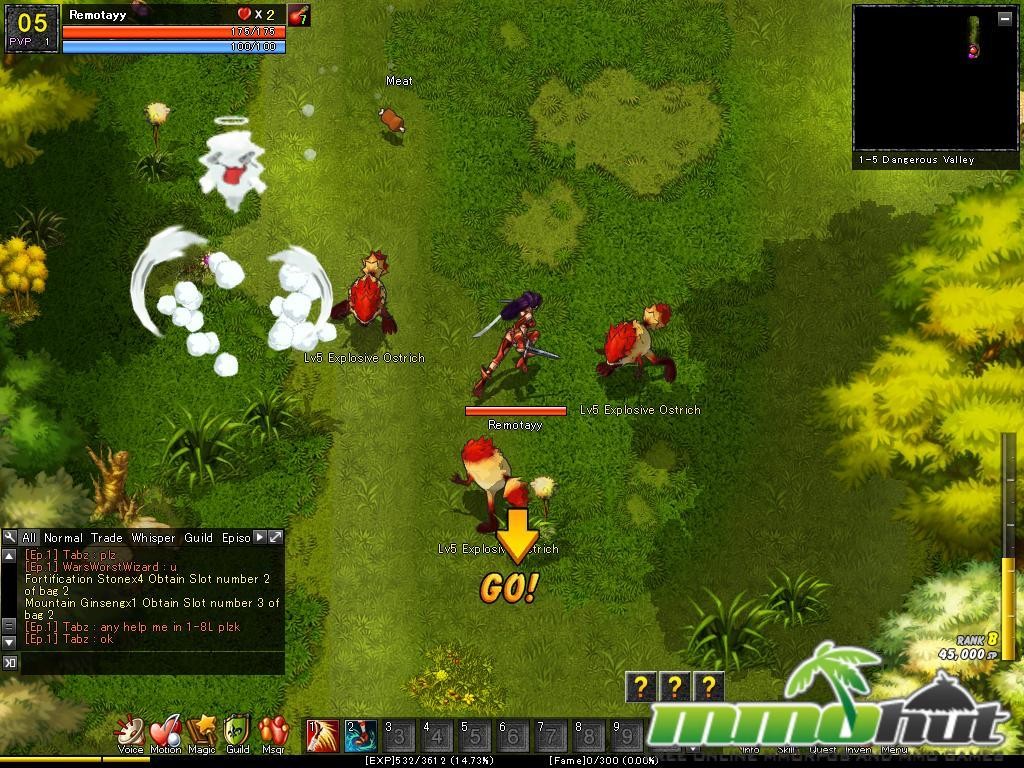Action Mmorpg