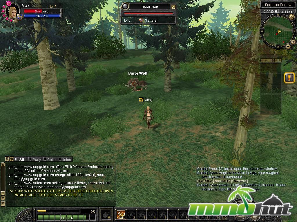 Top 10 Best Free MMORPG Games 2010 