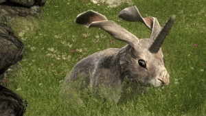 theHunter: Non-Typical Rabbit Release Video Thumbnail