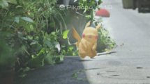 Pokémon GO Trailer thumbnail