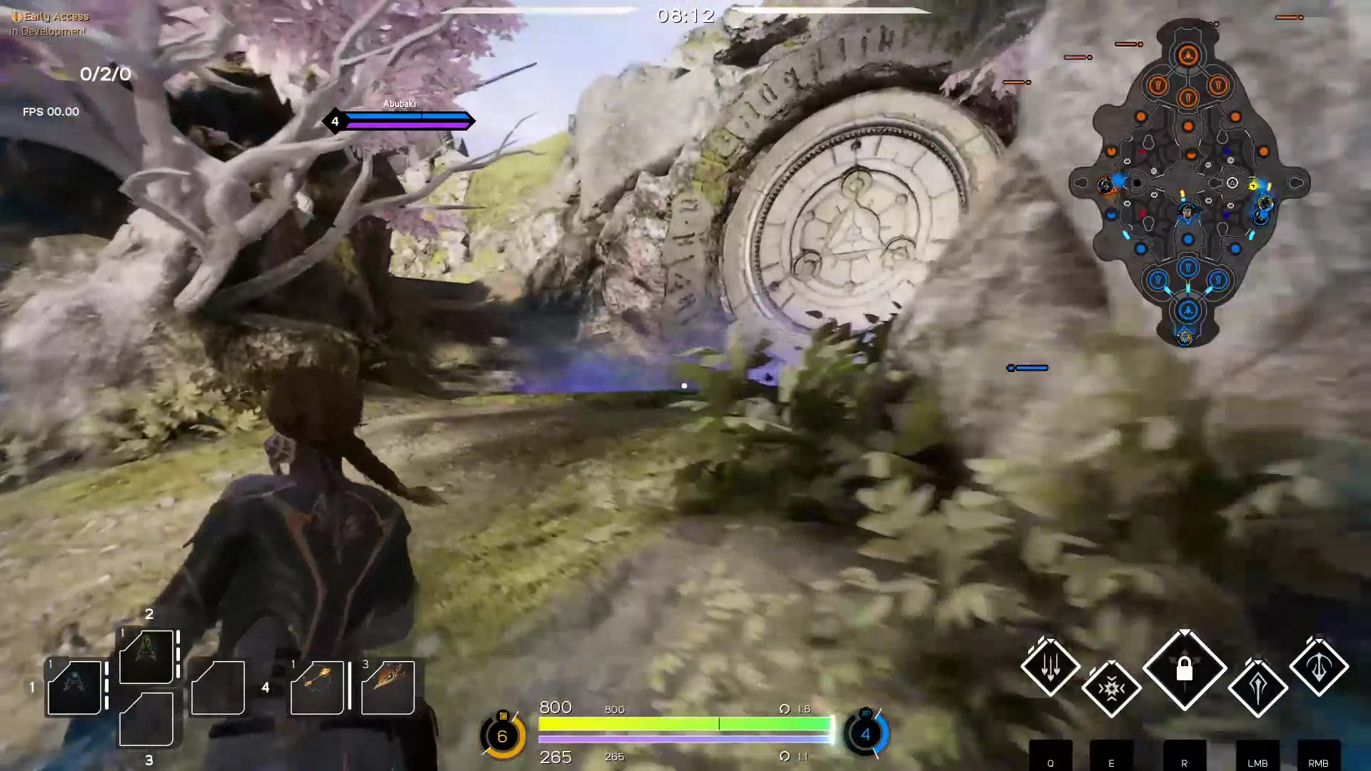 Paragon Early Access Feature