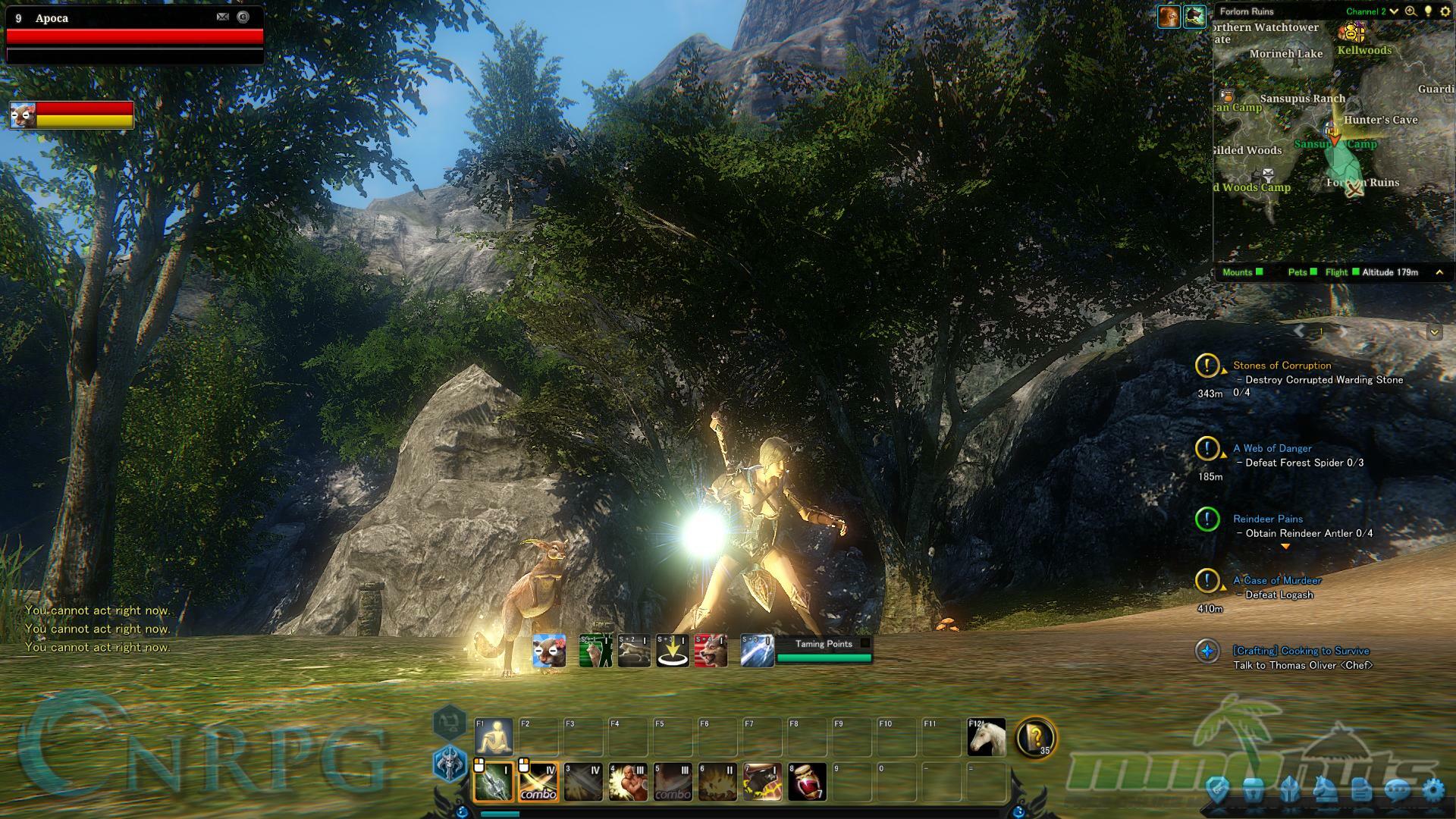 Riders of Icarus Pre-Beta Preview