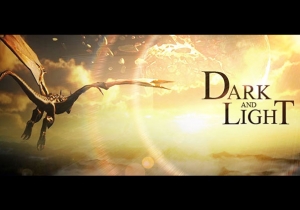 Dark and Light Game Profile