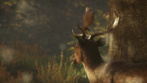 theHunter: Call of the Wild Gameplay Trailer