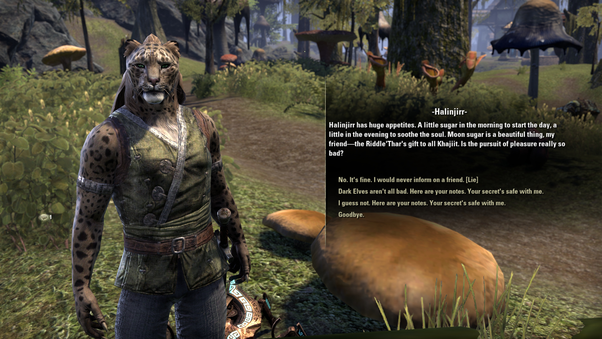 ESO: Morrowind Review