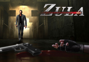 ZULA Game Profile Banner