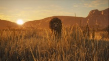 theHunter Call of the Wild Lions