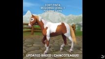 Star Stable - Chincoteague Pony