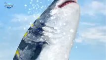Fishing Strike Trailer Thumbnail
