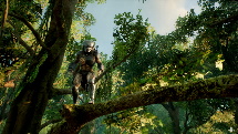 Predator Hunting Grounds - Gameplay Reveal thumbnail