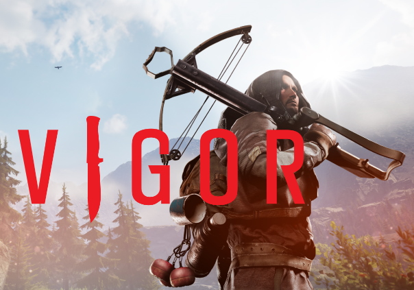 Vigor Game Banner